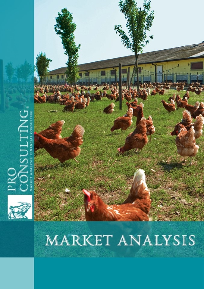 Market research report on poultry market in Ukraine. 2023 year